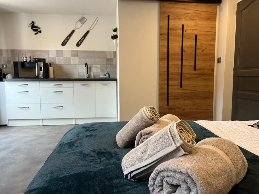 Studio Le Petit Pelican Chatenois  Bagian luar foto